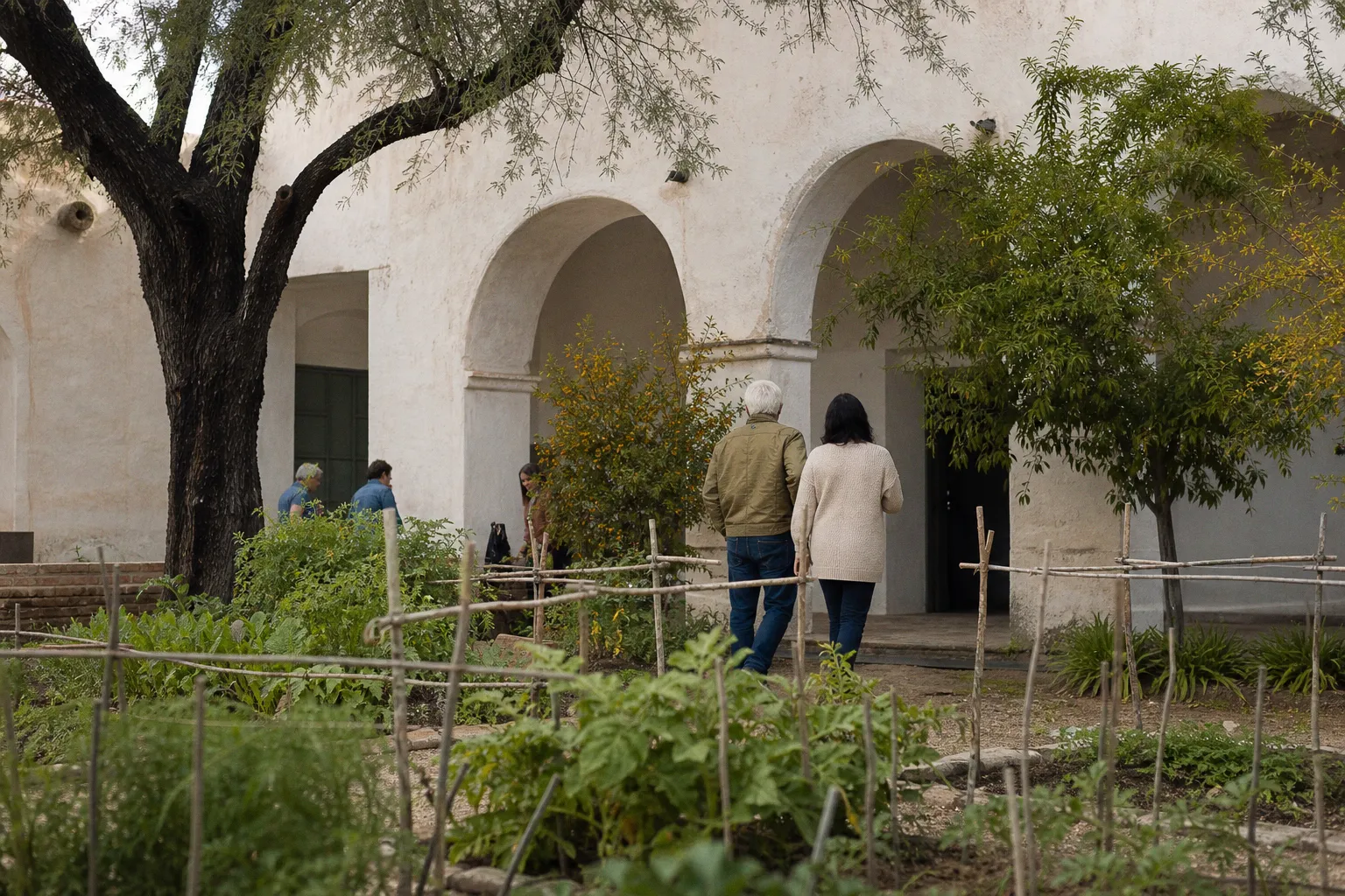 Preserving 4,000 Years of Agriculture: Inside Tucson’s Mission Garden